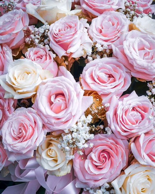 Close-up image of a bouquet featuring large, soft pink and cream roses with delicate, layered petals, complemented by small white baby's breath flowers. The roses are arranged tightly together, showca