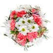 Infused with the cheerful spirit of South Ruislip, this bouquet overflows with colour and life, offering a floral reflection of spring's first blossoms in nearby parks. Crisp, white daisies form the heart of the arrangement, their golden-lime centres bright against the plush, coral-pink ruffles of blooming carnations. Airy clouds of gypsophila intersperse the main flowers, giving the ensemble a lightness and fullness that mirrors a fresh morning breeze on Queensmead Recreation Ground. Slender alstroemeria buds with soft pink and purple highlights peek gently through the lush greenery, adding both anticipation and a sophisticated touch. Silvery eucalyptus leaves, paired with deeper greens, create a soothing frame, completing the gentle, circular sweep of the design. Each component is selected and placed with care, resulting in a balanced, harmonious display that brings comfort and celebration to any space. Perfect for a birthday surprise, a congratulations bouquet, or to grace a local office, this arrangement channels the warmth and community spirit unique to South Ruislip. With every glance, it shares a message of renewal and joy, making it a favourite choice among both residents and visitors keen to experience local floristry at its best.
